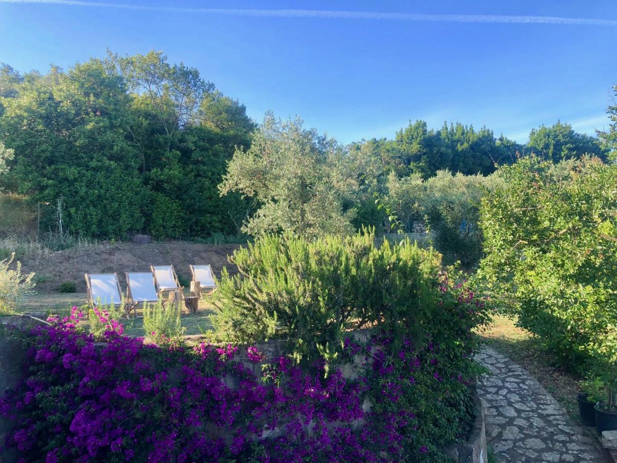 Nostos - Casale e Permacultura Bed and Breakfast SantʼAgata sui Due Golfi Exterior foto